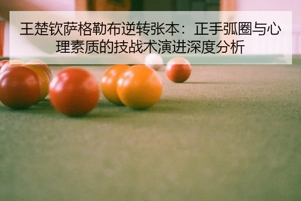 wang-chu-qin-sa-ge-lei-bu-ni-zhuan-zhang-ben-zheng-shou-hu-quan-yu-xin-li-su-zhi-di-ji-zhan-shu-yan-jin-shen-du-fen-xi-3-367.jpg