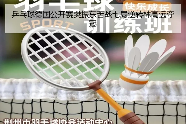 乒乓球德国公开赛樊振东苦战七局逆转林高远夺冠