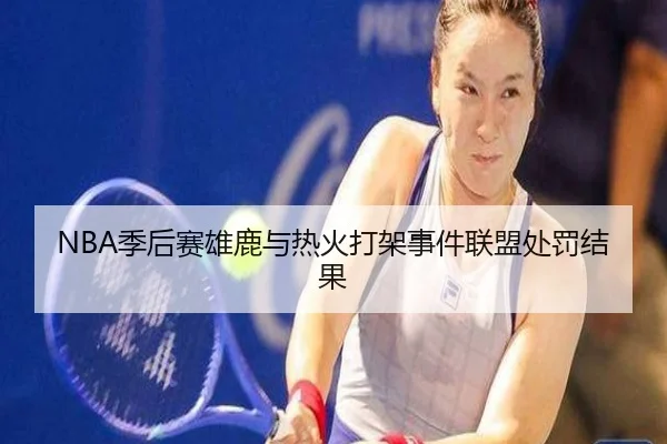 NBA季后赛雄鹿与热火打架事件联盟处罚结果