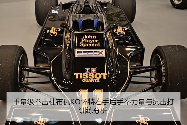 重量级拳击杜布瓦KO怀特右手后手拳力量与抗击打训练分析