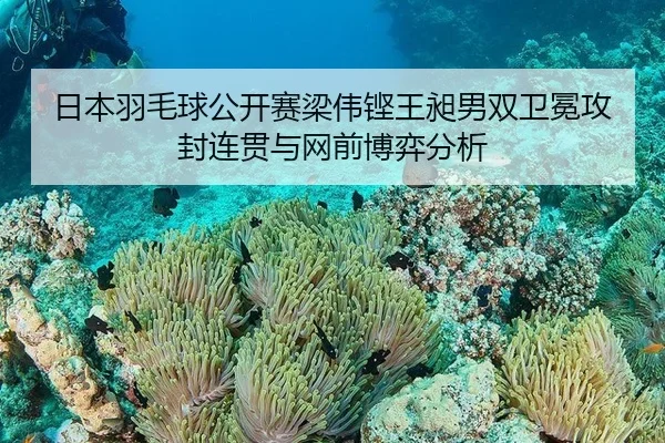 日本羽毛球公开赛梁伟铿王昶男双卫冕攻封连贯与网前博弈分析